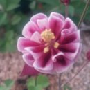 마정농장 이미지