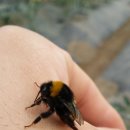 논골농장 이미지