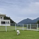 월월애견펜션 이미지