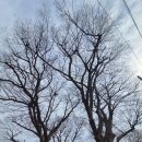 봉황산 공원 | [등산] 돌산도 봉황산~금오산 (여수)