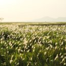 화성1리경로당 이미지