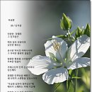 무궁화 / 김석겸 이미지