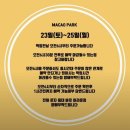 속초 중앙시장 속초 에그타르트 맛집 마카오박 예약 성공후기