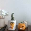 백년전통찻집 이미지