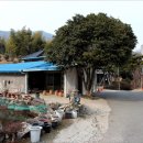 수선정사 네이버블로그