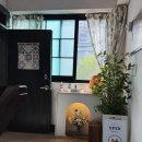 네모에이드 이미지