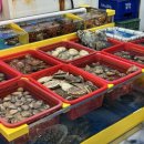 당진 삽교맛집 | 고기바다 | 우럭 포장 후기