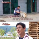 한다리농장 이미지