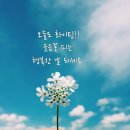 메모습관 이미지