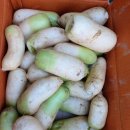 인철농장 이미지