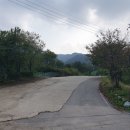 파평체육공원 이미지