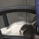 뚜레쥬르 마산점