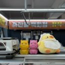 조양축산 이미지