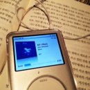 젤리비 이미지