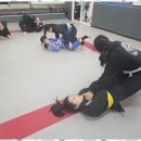 세계화랑체육관 | 금촌운동 금촌에서 만나는 진정한 무도의 세계