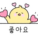 미태리파스타속초교동점