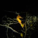 남해-267 이미지