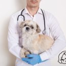 애니멀바이오케어 이미지