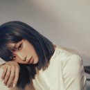 덤덤엔터테인먼트 이미지
