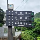 [정기 산행사진] 철쭉축제 만끽한 소백산_2023.05.28(일) 이미지