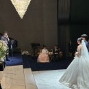 메라키헤어 | 수원 드레스투어 ㅣ 메리드메리 본식드레스 셀렉 후기 (메라키 vs 로즈로사)