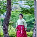 일랑이다 이미지