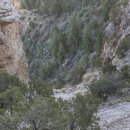 와수시장 이미지