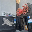 돌고래횟집 - 청주시 상당구 | 돌고래횟집