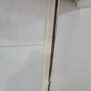 박달금호 이미지