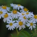 청양식당 이미지