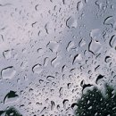 (주)메디오션 이미지