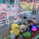 뽑자오빠 이미지