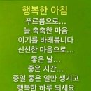 금토끼
