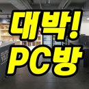 대박피시 이미지