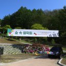 문성자연휴양림 이미지