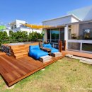 제주코기네 이미지