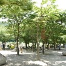 미천공원 이미지