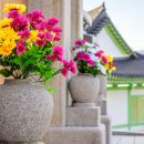 양평장례식장 이미지