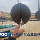 팔룡초등학교 이미지