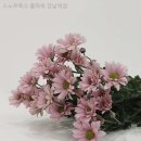 간선-79 | 꽃배달 스노우폭스 플라워 강남역점 서울 강남구 역삼동 가격 후기