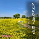 청주시농업기술센터 | 2025 청주시 도시농업 페스티벌 후기 유채꽃밭 명소