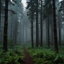 용현자연휴양림 이미지