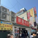 대전맛집 광천식당 오징어두루치기 내돈내산 후기