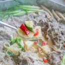 꽃차돌 티스토리
