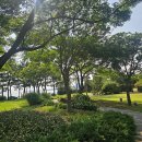 씨유제주중문오네뜨점 | 제주 중문 가성비 숙소 부영호텔리조트 뚜벅이 가는 법 수영장 후기