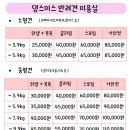 댕스미스 애견미용 이미지