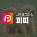 피피프렌즈