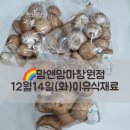 석전동403 | 맘앤맘마창원점-12월14일(화)이유식재료&amp;이유식