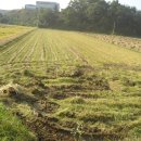 광천농협주유소 이미지