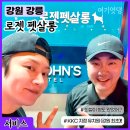 강릉 반려견 호텔 유치원 로젯펫살롱 교동본점 네이버블로그